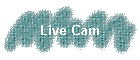 Live Cam
